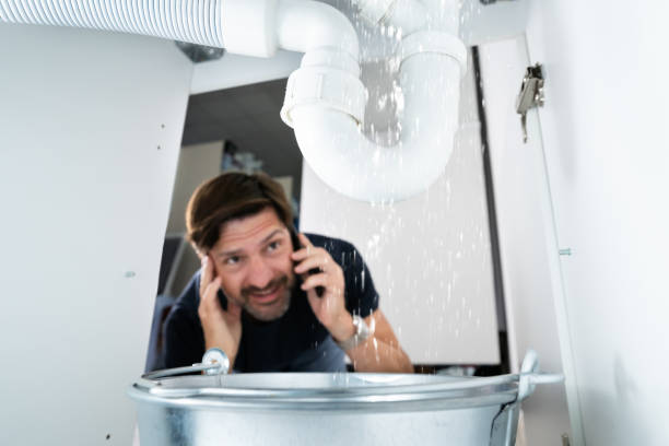 Best Plumbing Inspection Services  in Hudson, MI